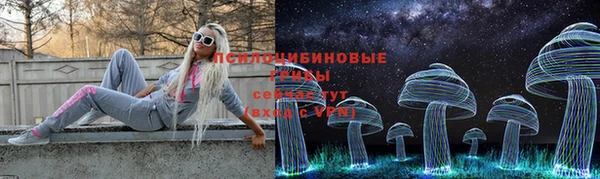 ГАЛЛЮЦИНОГЕННЫЕ ГРИБЫ Белоозёрский
