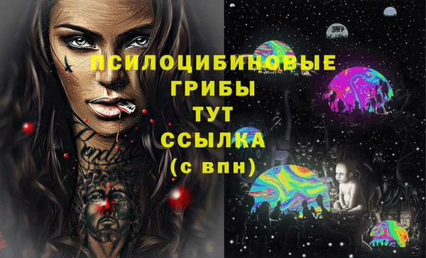 стаф Беломорск