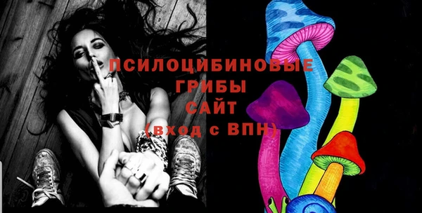 МДПВ Белокуриха