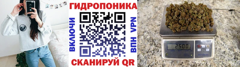 Конопля VHQ  Купить закладки  Петровск 